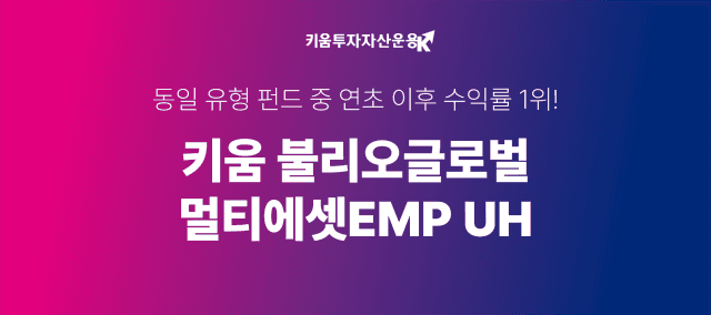 키움 불리오글로벌 멀티에셋EMP UH - 동일 유형 펀드 중 연초 이후 수익률 1위